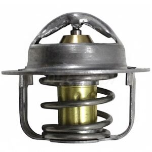 TERMOSTATO BENELLI TRK 702